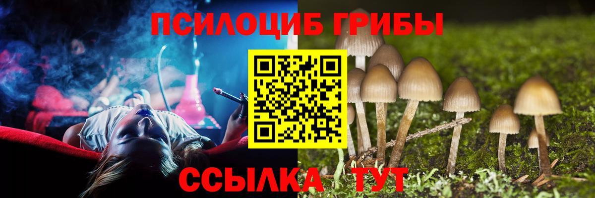 Галлюциногенные грибы ЛСД  где продают   Галлюциногенные грибы прущие грибы  Кинешма  Вход с VPN 
